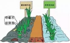 土壤重金屬檢測儀的使用改善土壤現狀